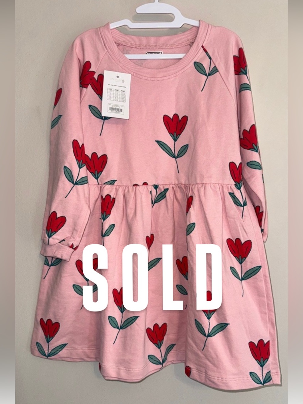 Little Maven Pinkand Red Floral Long-Sleeve Dress NWT size 5T